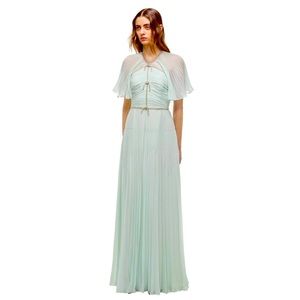 Elegant,sexy sophisticated soft mint green sheer, long flowing shortsleeve dress